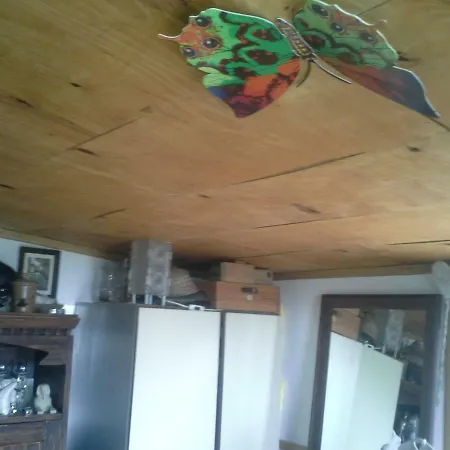 Pod širákem * Divisov
